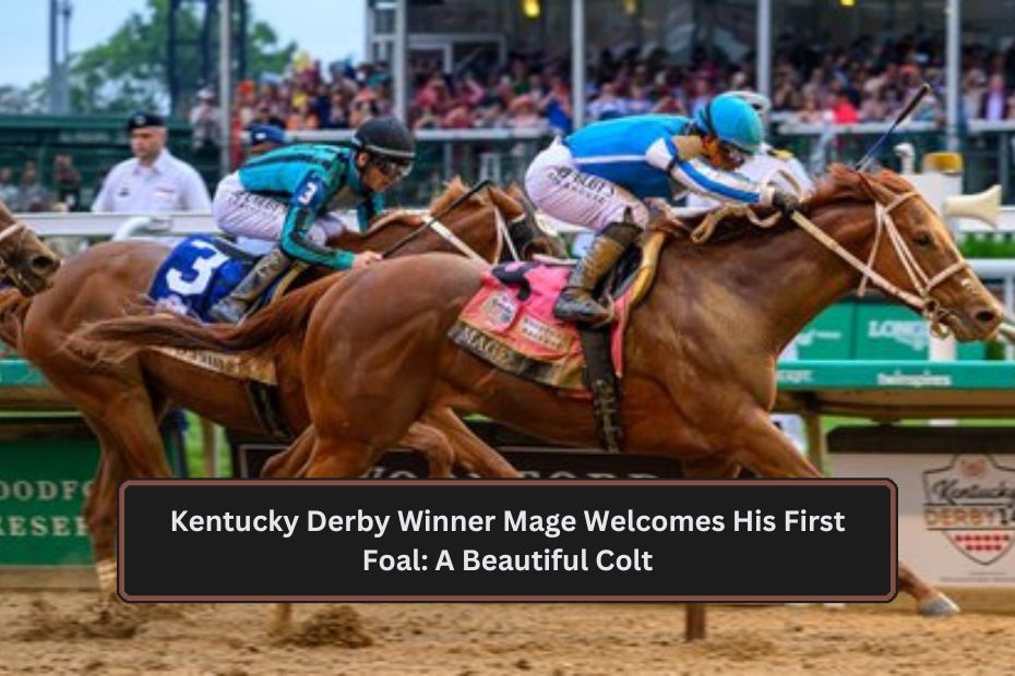 Kentucky Derby Winner Mage Welcomes His First Foal: A Beautiful Colt