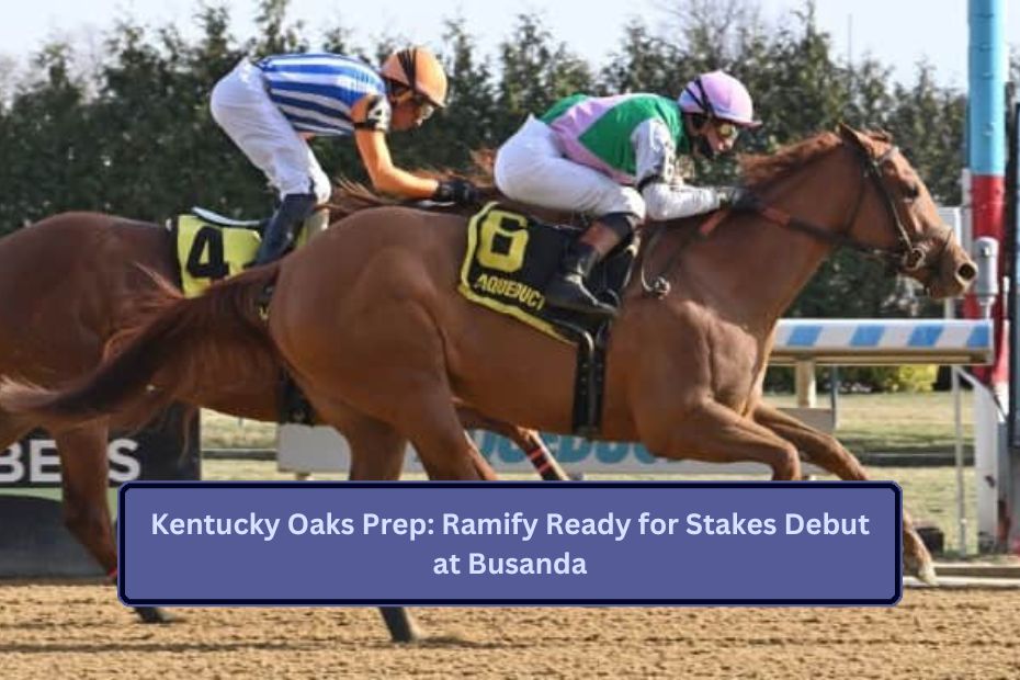 Kentucky Oaks Prep: Ramify Ready for Stakes Debut at Busanda