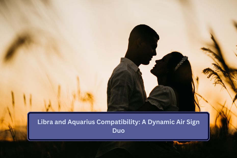 Libra and Aquarius Compatibility