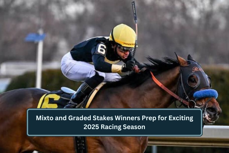 Mixto and Graded Stakes Winners Prep for Exciting 2025 Racing Season