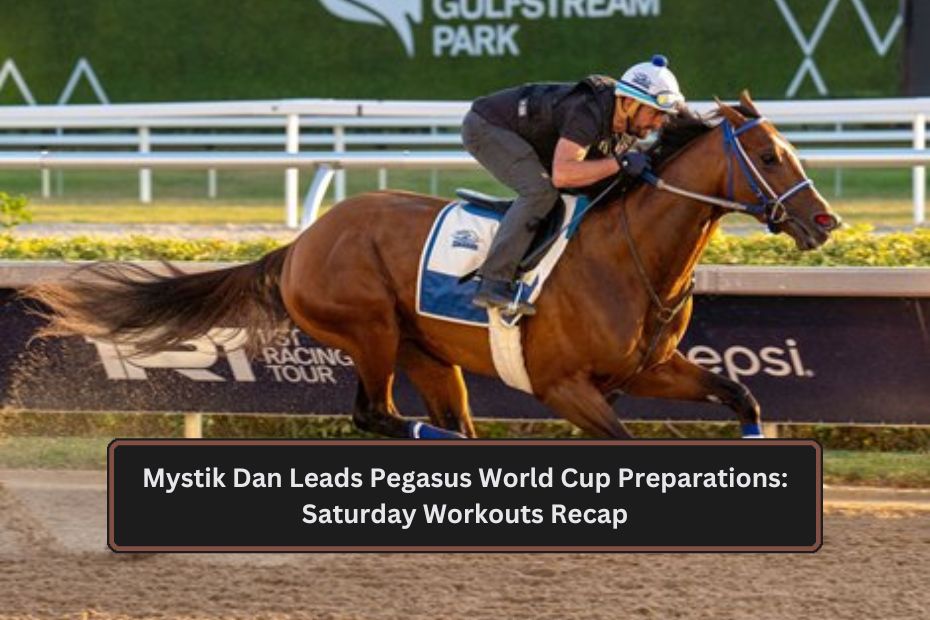 Mystik Dan Leads Pegasus World Cup Preparations: Saturday Workouts Recap