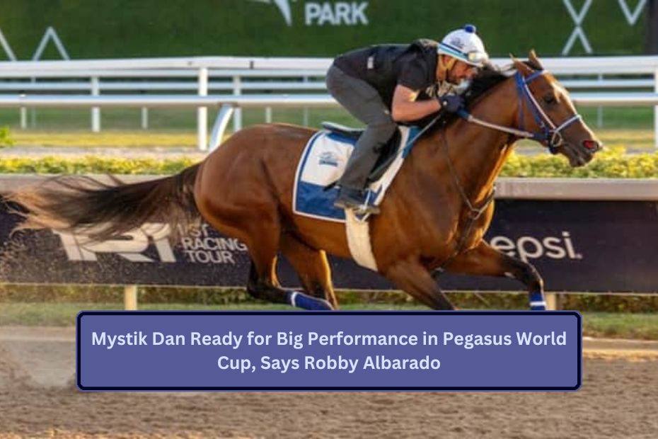 Mystik Dan Ready for Big Performance in Pegasus World Cup, Says Robby Albarado