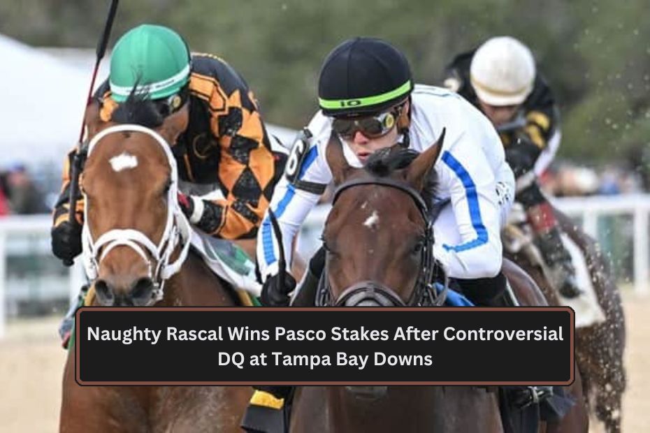 Naughty Rascal Wins Pasco Stakes After Controversial DQ at Tampa Bay Downs