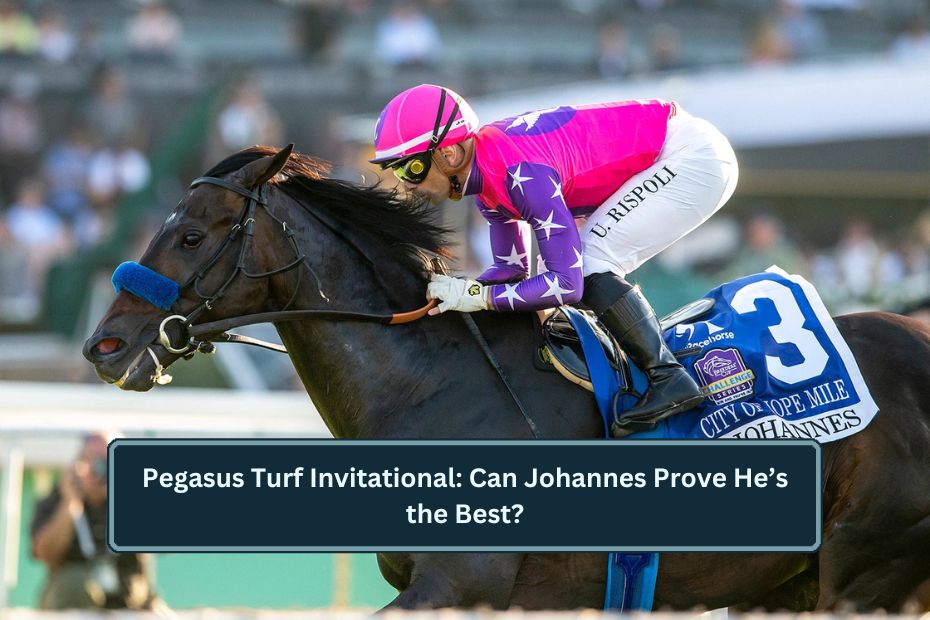 Pegasus Turf Invitational: Can Johannes Prove He’s the Best?