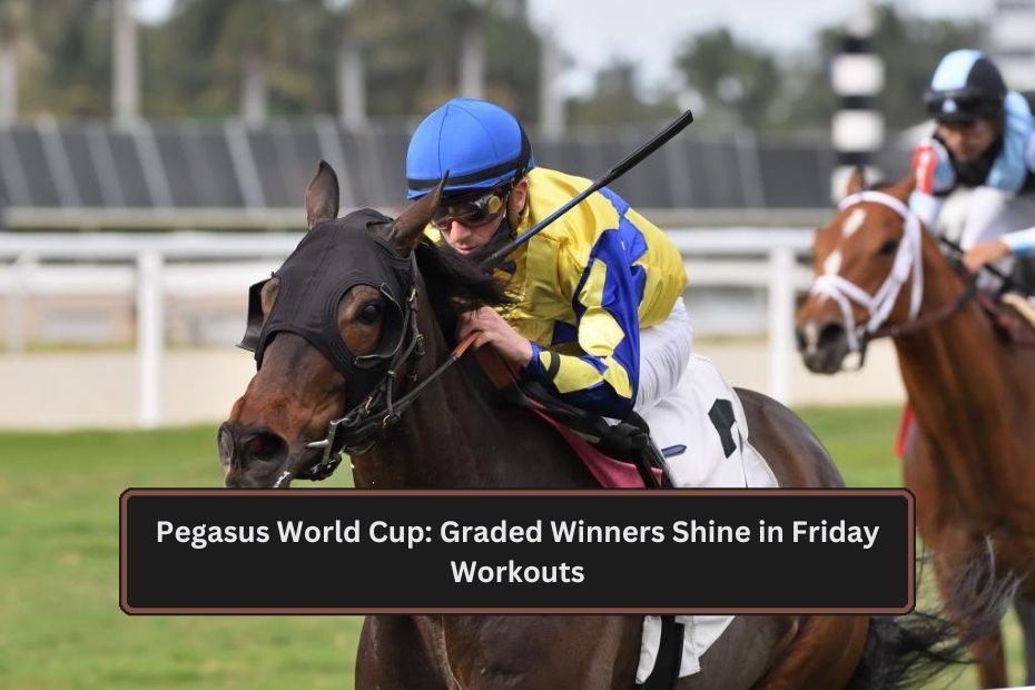 Pegasus World Cup: Graded Winners Shine in Friday Workouts