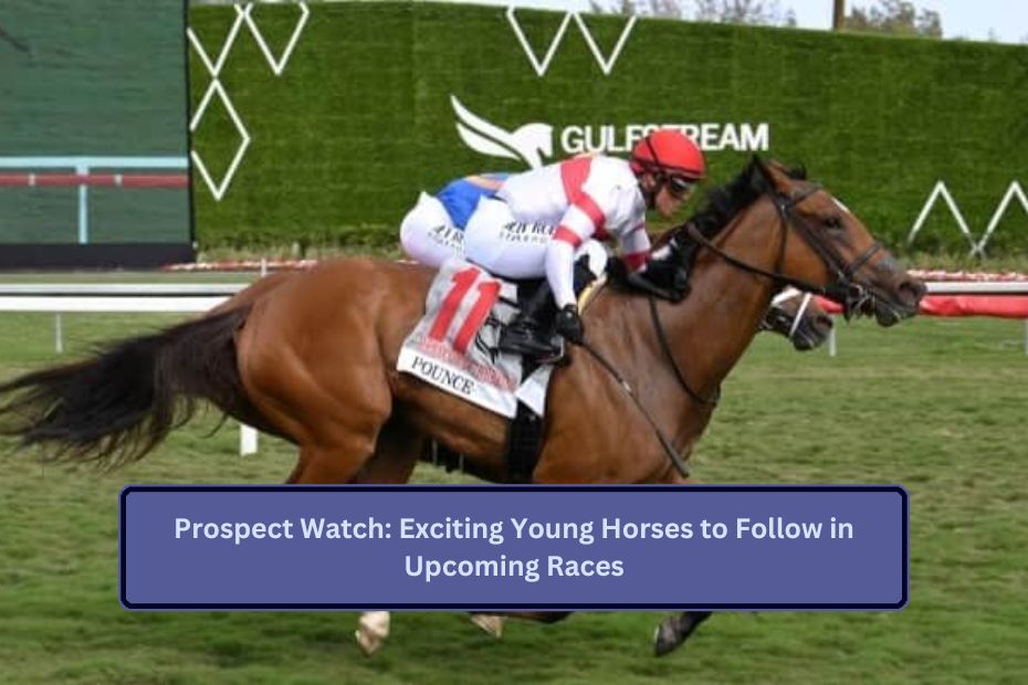 Prospect Watch: Exciting Young Horses to Follow in Upcoming Races