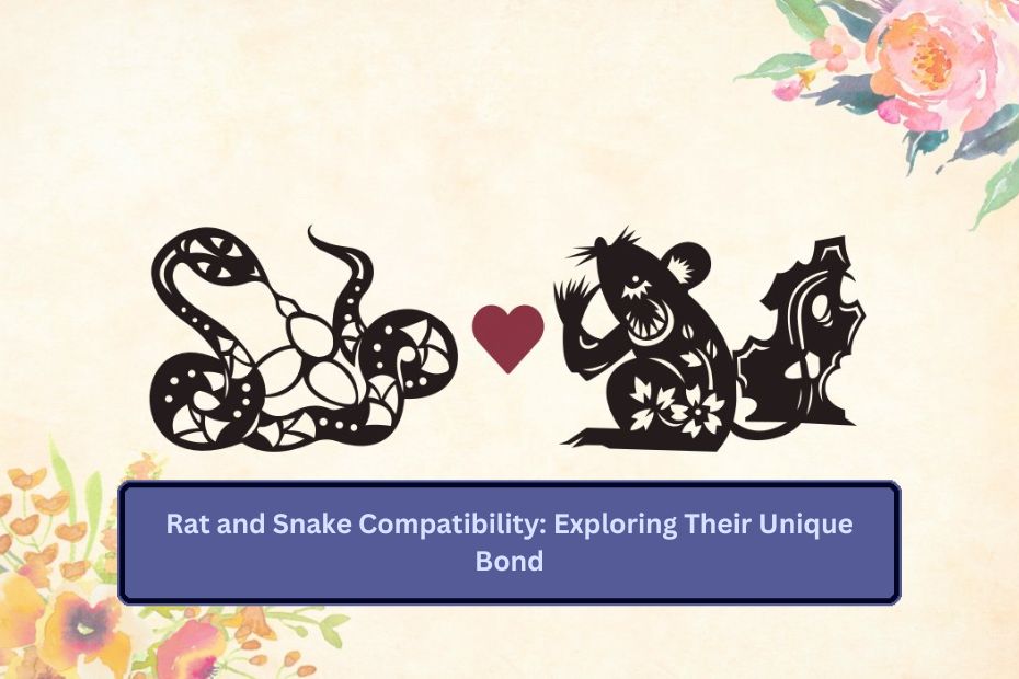 Rat and Snake Compatibility: Exploring Their Unique Bond