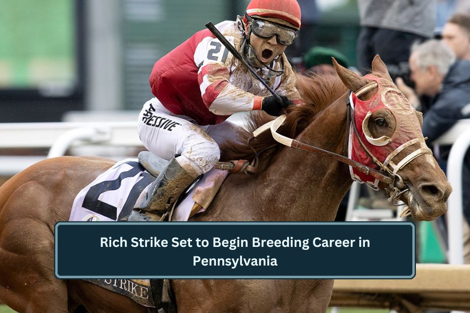 Rich Strike Set to Begin Breeding Career in Pennsylvania