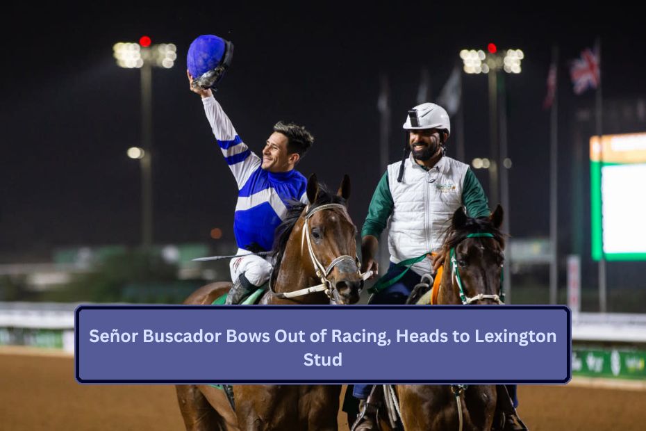 Señor Buscador Bows Out of Racing, Heads to Lexington Stud