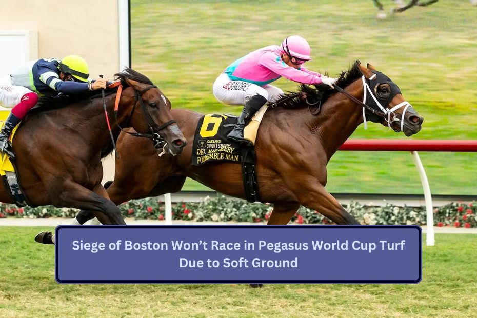 Siege of Boston Won’t Race in Pegasus World Cup Turf Due to Soft Ground