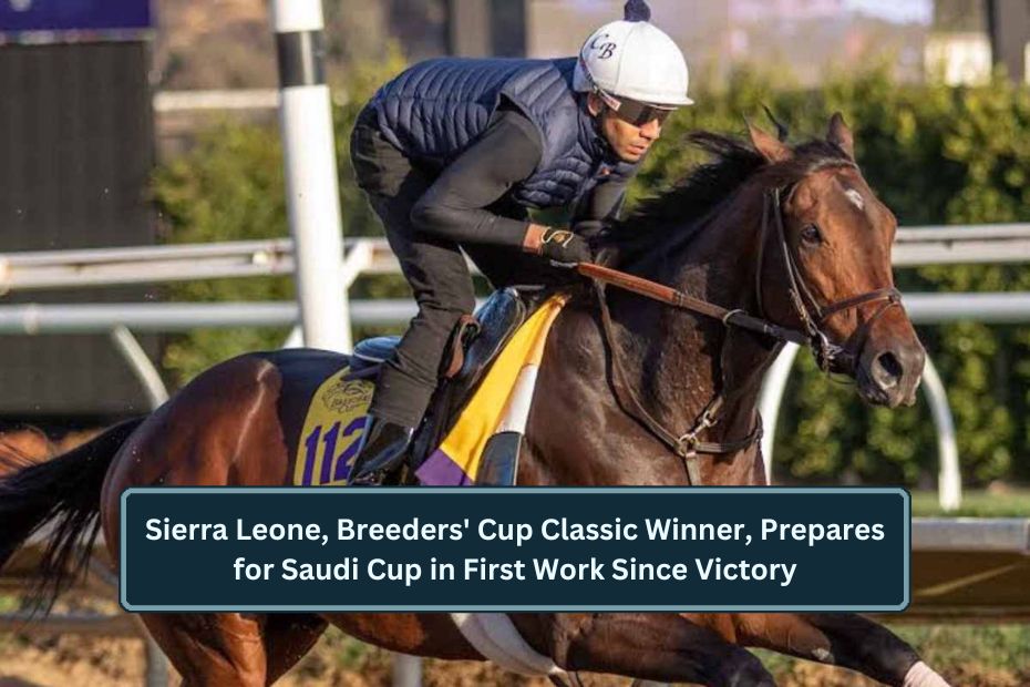 Sierra Leone, Breeders' Cup Classic Winner, Prepares for Saudi Cup in First Work Since Victory