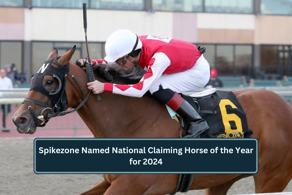 Spikezone Named National Claiming Horse of the Year for 2024