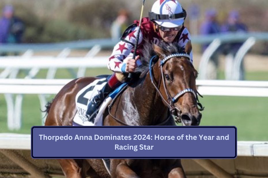 Thorpedo Anna Dominates 2024: Horse of the Year and Racing Star