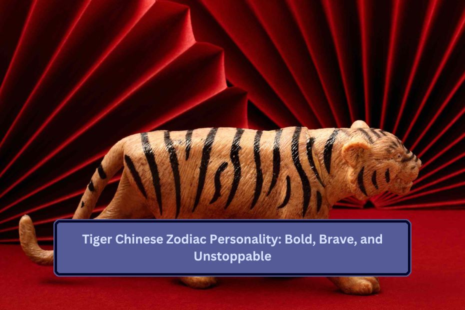 Tiger Chinese Zodiac Personality