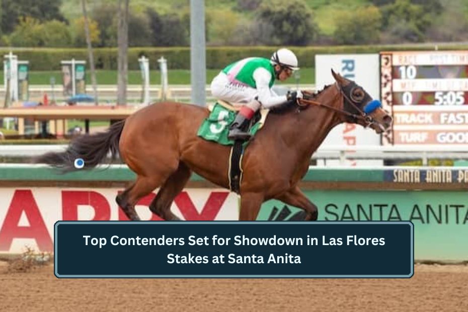 Top Contenders Set for Showdown in Las Flores Stakes at Santa Anita