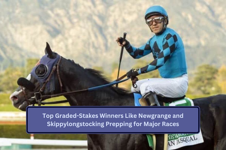 Top Graded-Stakes Winners Like Newgrange and Skippylongstocking Prepping for Major Races