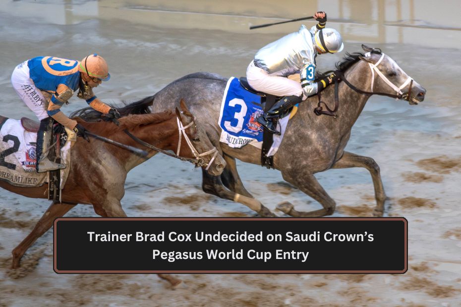 Trainer Brad Cox Undecided on Saudi Crown’s Pegasus World Cup Entry