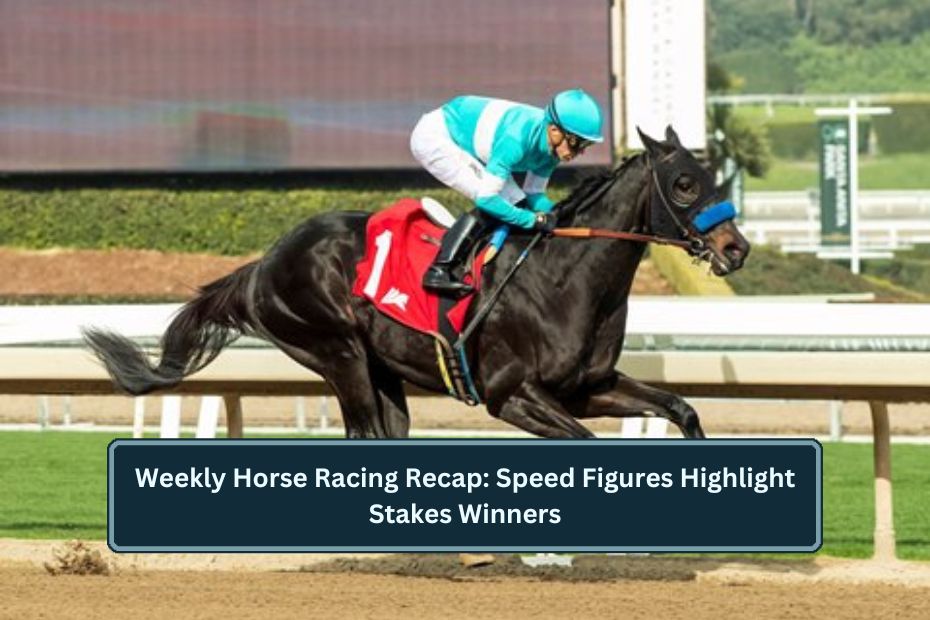 Weekly Horse Racing Recap: Speed Figures Highlight Stakes Winners