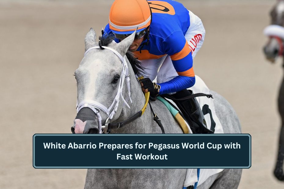 White Abarrio Prepares for Pegasus World Cup with Fast Workout