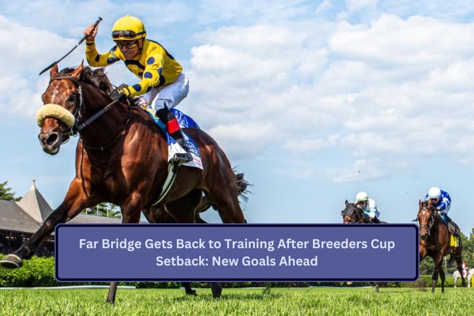 Far Bridge Gets Back to Training After Breeders Cup Setback: New Goals Ahead