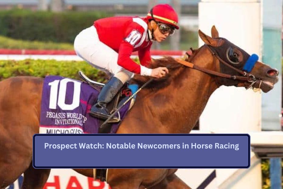 Prospect Watch: Notable Newcomers in Horse Racing