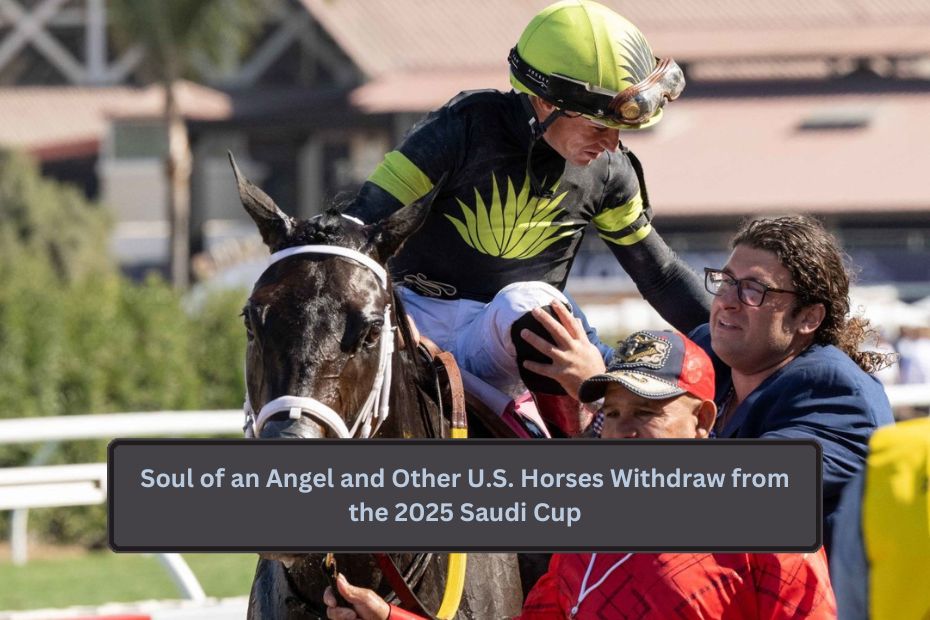 Soul of an Angel and Other U.S. Horses Withdraw from the 2025 Saudi Cup